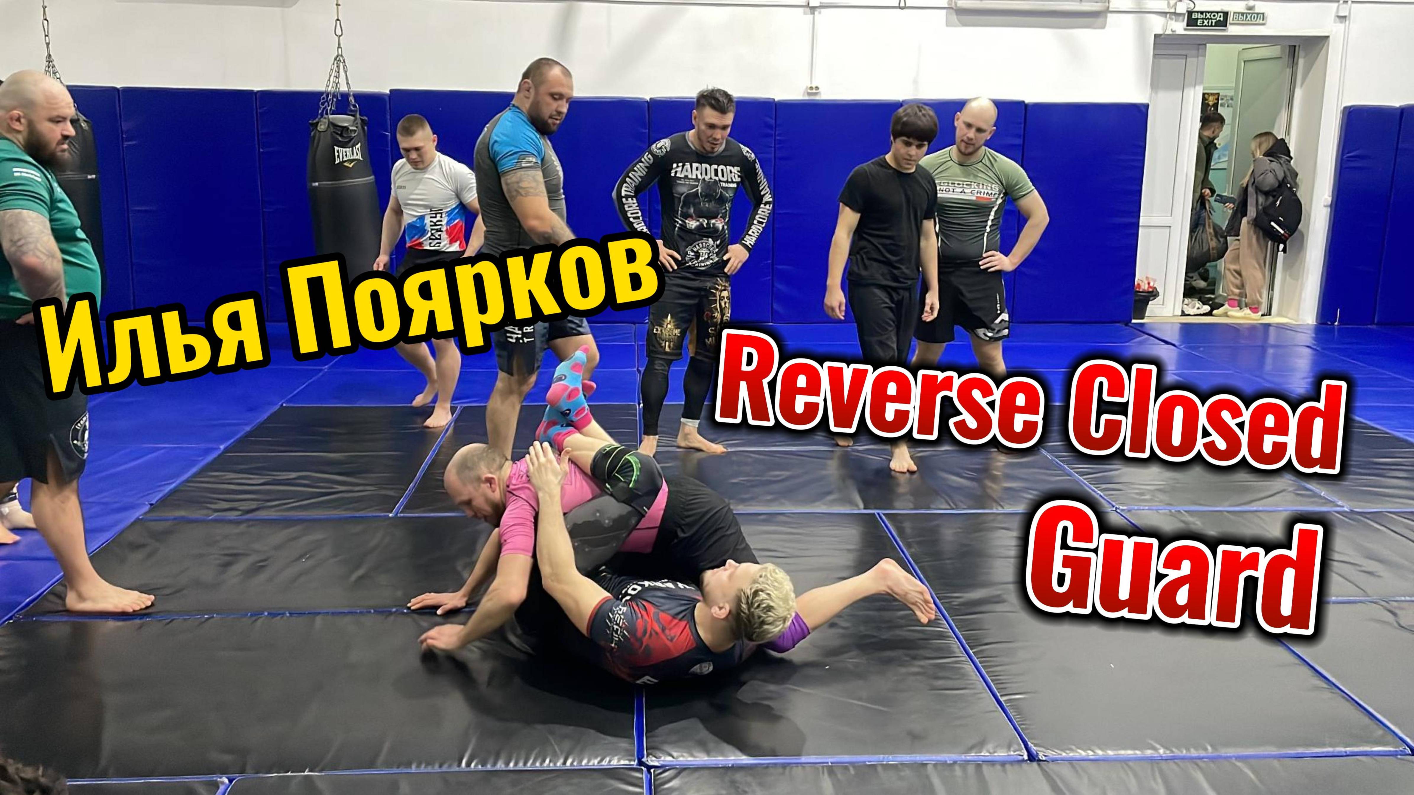 Reverse Closed Guard | Илья Поярков