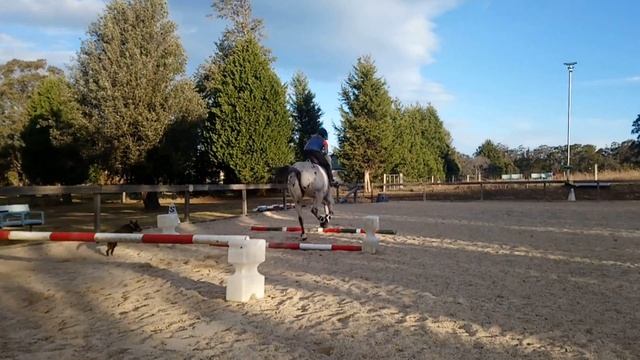 The BEST basic Show Jumping Grid of Bounce Fences смотреть онлайн