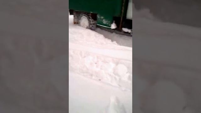 Газ 66 vs глубокий снег. смотреть онлайн