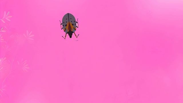 Cat Games — Games For Cats: BIG BUG on Pink for cat on screen смотреть онлайн