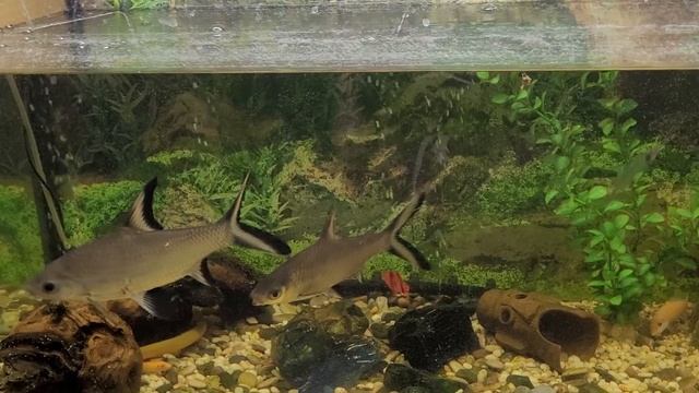 9 января 2024 г. смотреть онлайн