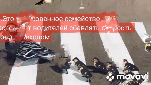 20 красивых работ уличных художников смотреть онлайн