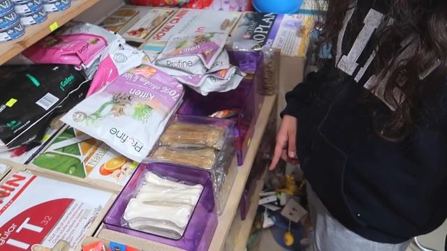 MİRA 'NIN KÖPEĞİ İÇİN İSİMLİ KÜNYE YAPTIRDIK | Umikids Pet shop Alışverişi смотреть онлайн
