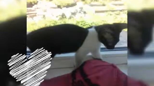 Ванесса моя смотреть онлайн