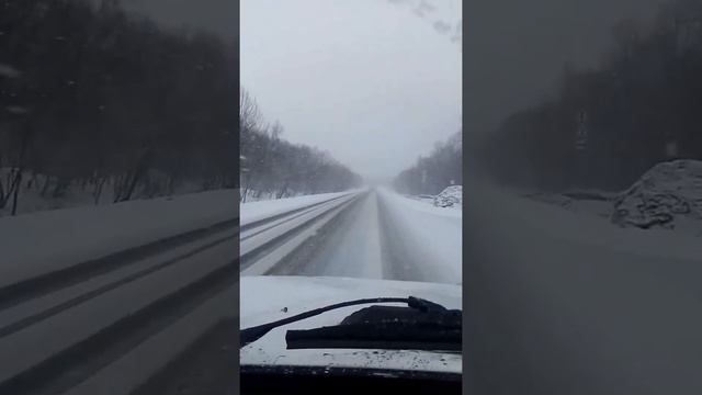 Птицы прилетают смотреть онлайн