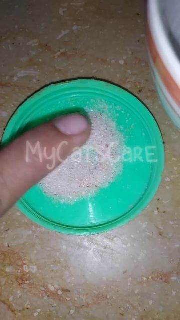 Tips, Cat's Dehydration Treatment #cat #kitten #dehydration #hydration #short #dehydratedcat #tip смотреть онлайн