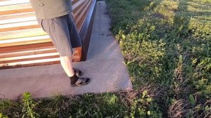 5 | 17 000 тыс. рублей за 6 часов работы. Заработок в деревне на покосе травы триммером.