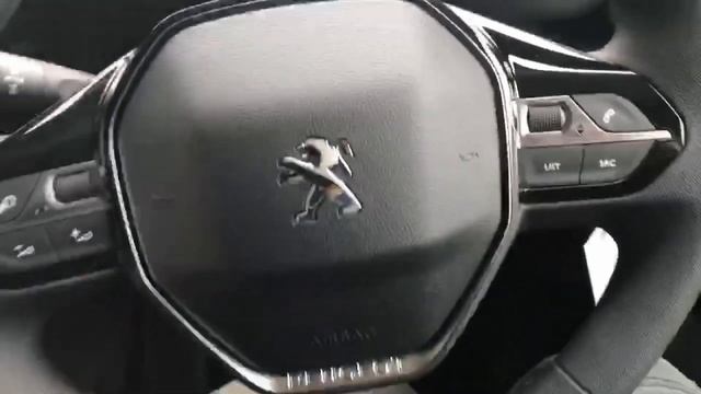 2024 Peugeot Partner Standard Diesel 1000 Professional Premium Plus L1 H1 SWB 1.5 BlueHDi 100ps смотреть онлайн