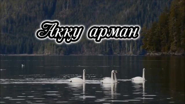 Аққу арман. Акку арман. Аққу арман әні Клара Төленбаева Салықовтар отбасы смотреть онлайн