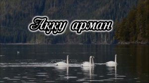 Аққу арман. Акку арман. Аққу арман әні  Клара Төленбаева Салықовтар отбасы