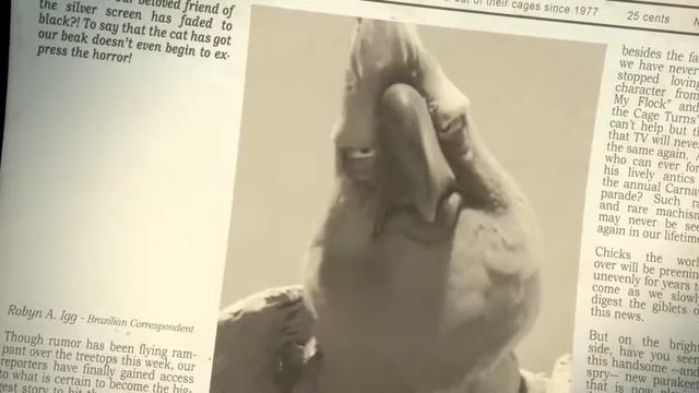 Angry Birds-Рио Найджел Мэшуп