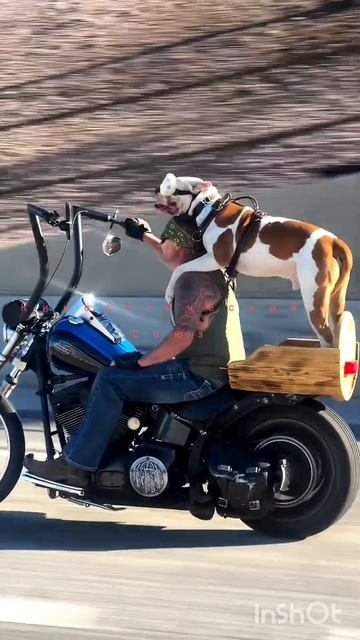 призрачный гонщик