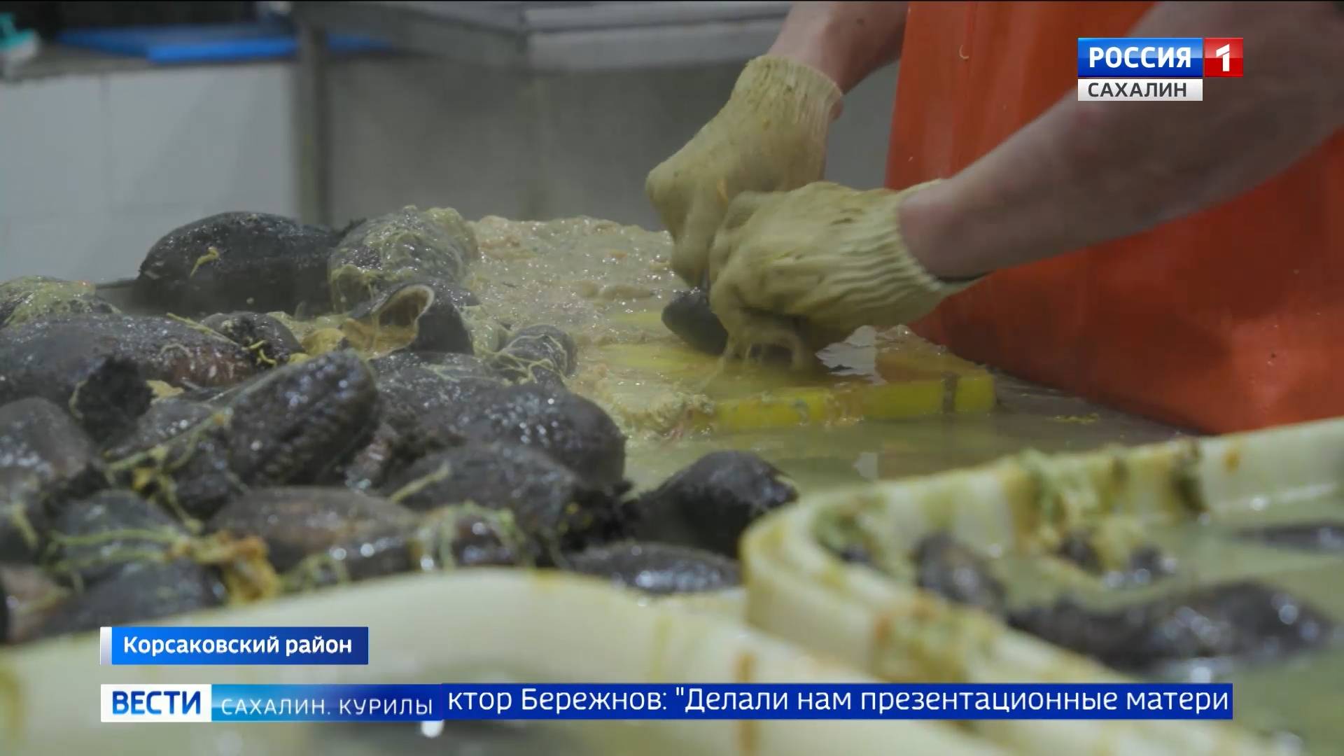 "Вести. Сахалин. Курилы". 27 февраля 2025 года смотреть онлайн