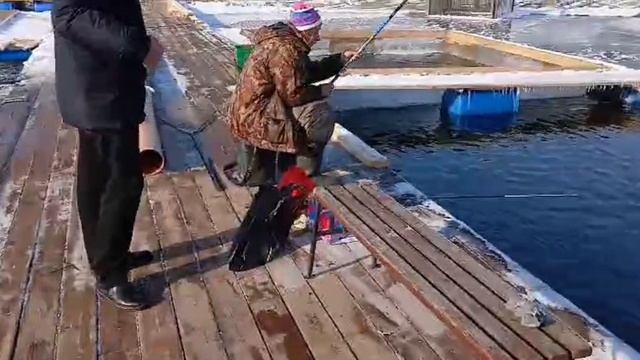 28-02-2025 смотреть онлайн