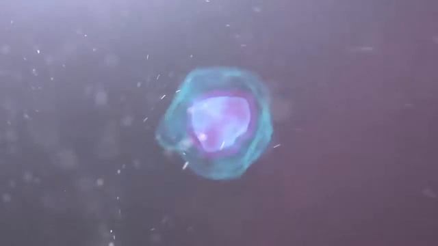 красивое начало для видео смотреть онлайн