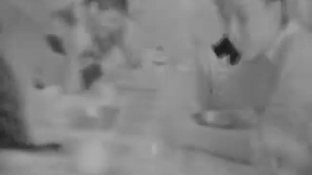 Quarz DS8-M 8mm amateur film смотреть онлайн