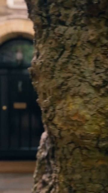 Rita Ora Loves The Creative History of Her House