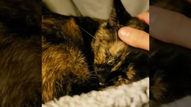 Mittens смотреть онлайн