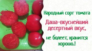 Приобрести сорт томата Даша — смотреть описание.