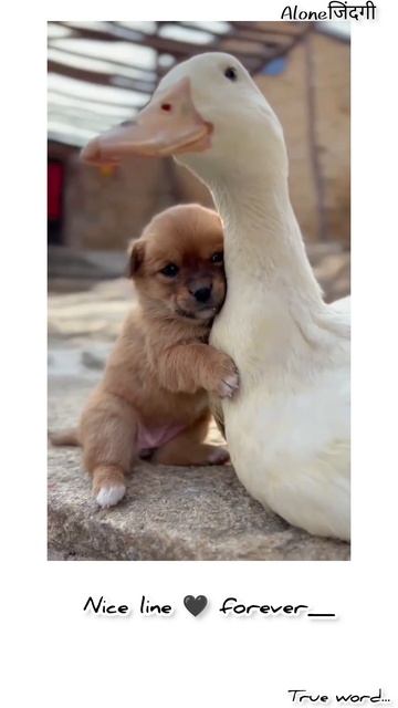 Sad status😥 || Mood off song status😔 || broken heart status💔 || watsapp status 🥀 || sad song #Short смотреть онлайн