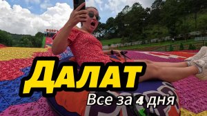 ДАЛАТ - ЛУЧШИЙ ГОРОД ВЬЕТНАМА , Такого мы не ожидали, Стоит ли ехать из Нячанга? Вьетнам 2025