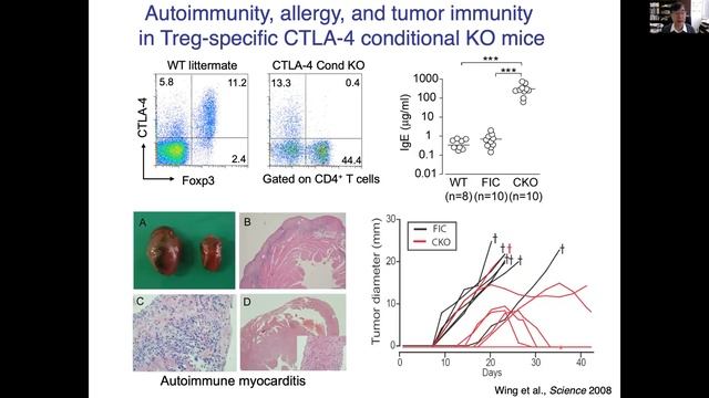 "Regulatory T cells for Immune Tolerance" by Dr. Shimon Sakaguchi смотреть онлайн