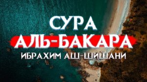 Красивое чтение Корана Сура Аль-Бакара! Ибрахим Аш-Шишани