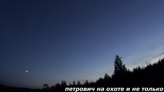 ОХОТА НА УТКУ. ВЕЧЁРКА . ДОБЫЛ ВАЛЬДШНЕПА. ОТЛИЧНЫЙ ЛЁТ.DUCK HUNTING 2018 смотреть онлайн