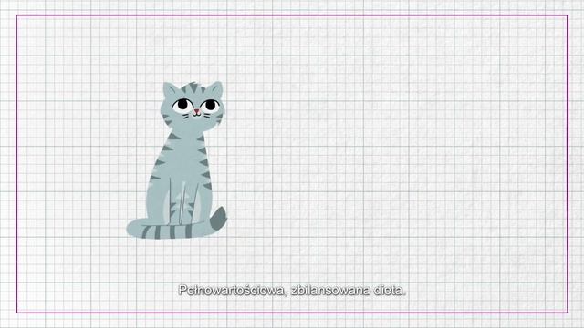 Czy Koty Mogą Jeść To Samo, Co Ludzie?