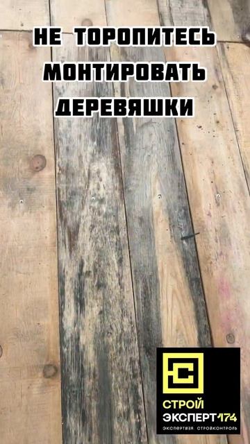 Купили древесина и заметили они серые пятна? Споры плесени поразили дерево #стройэксперт174 #плесен