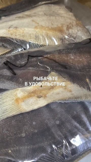 Вяленый ёрш отправляется в Москву.