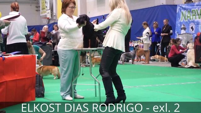 Elkost Dias Rodrigo