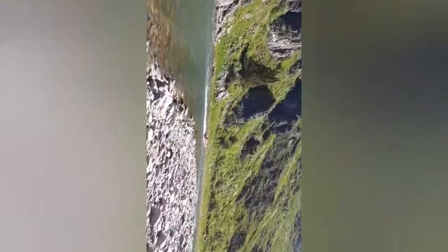 стриж по горной ульбе смотреть онлайн
