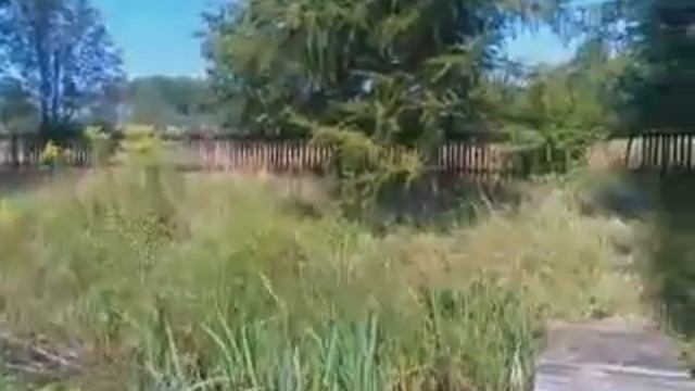 рибалка ловля карасів серпень 2014р смотреть онлайн