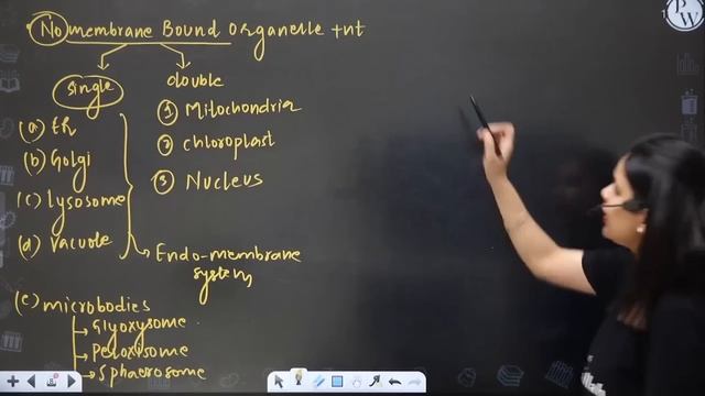Biological Classification 02 | Kingdom Monera | Class 11/NEET | RAFTAAR смотреть онлайн