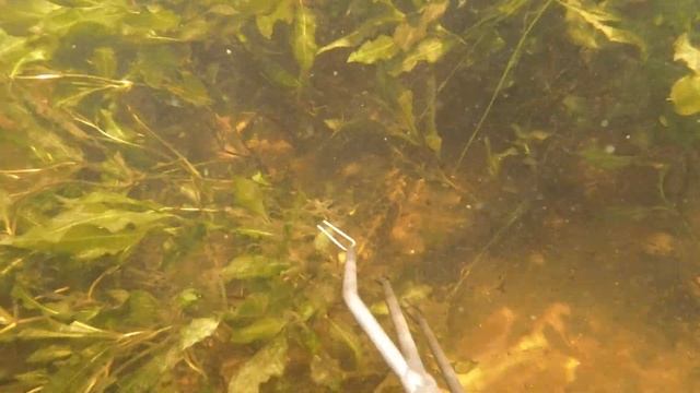 Летняя щука 2021 смотреть онлайн