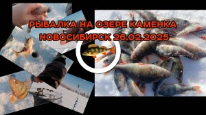 Зимняя рыбалка в Новосибирске - 2025. Ловля окуня на озере Каменка в Новосибирске.