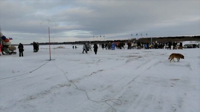 История_и_современность_Дня_оленевода смотреть онлайн