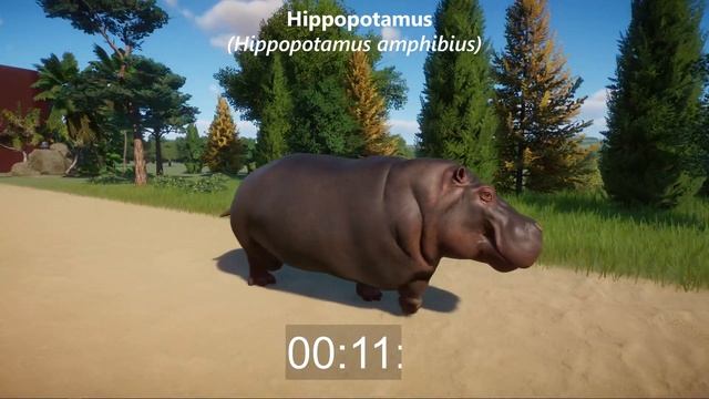 Big Herbivore Animals Speed Races in Planet Zoo included African Elephant, Giraffe, Rhinoceros & et смотреть онлайн