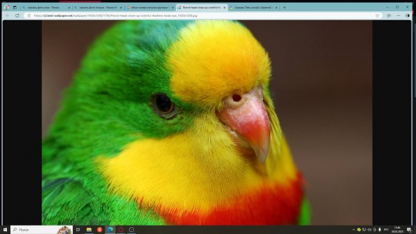 ВАЖНАЯ ИНФААА!!!