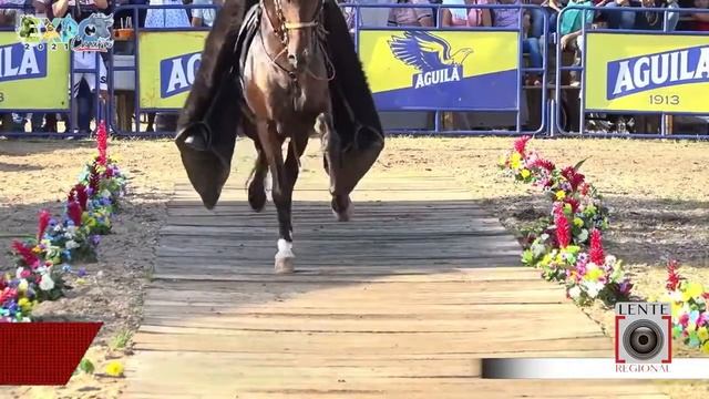 ACABACA TIENE TODO LISTO PARA LA FERIA DE JUZGAMIENTO EQUINO EN CARTAGENA DEL CHAIRÁ смотреть онлайн