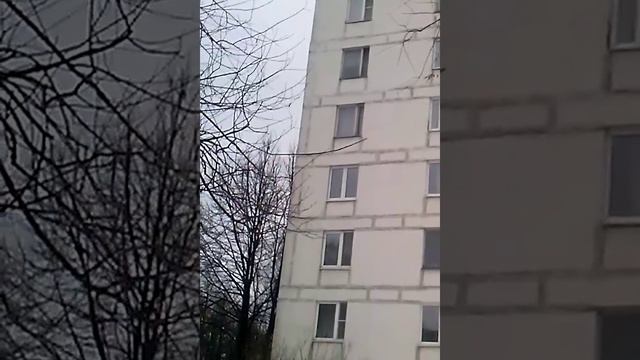 Втарая серия гуляю с собакой смотреть онлайн