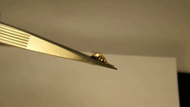 Yellow Beryl смотреть онлайн