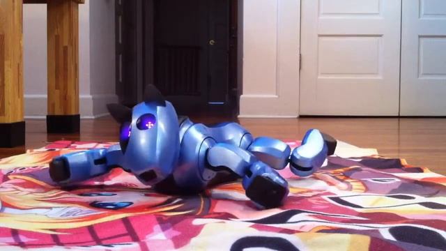 Genibo SD Autonomous смотреть онлайн