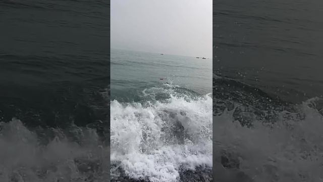 25 апреля 2024 г.