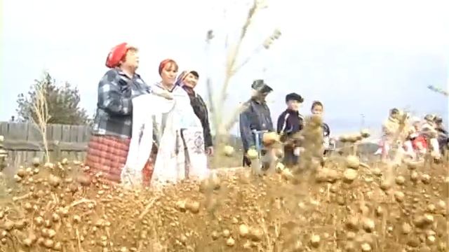 Обряд с иконой перед уборкой льна смотреть онлайн