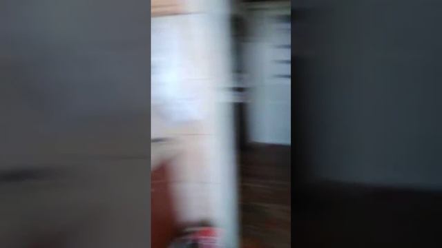 Наша машина для убийств мышей сломаласть