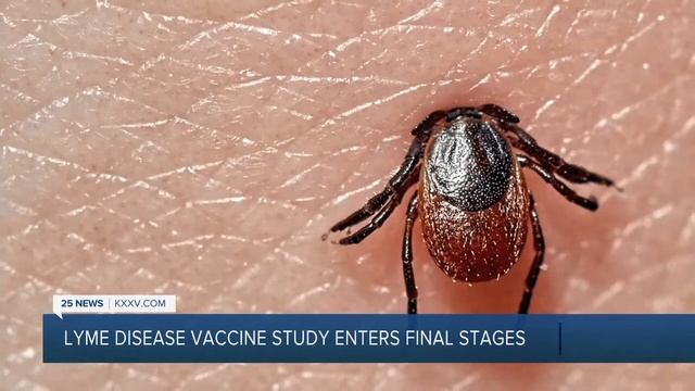 Pfizer working on Lyme disease vaccine смотреть онлайн