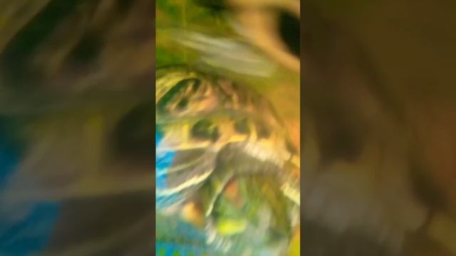 помощьцы вредные часть 7🤣🤣🤣🤣🤣 смотреть онлайн