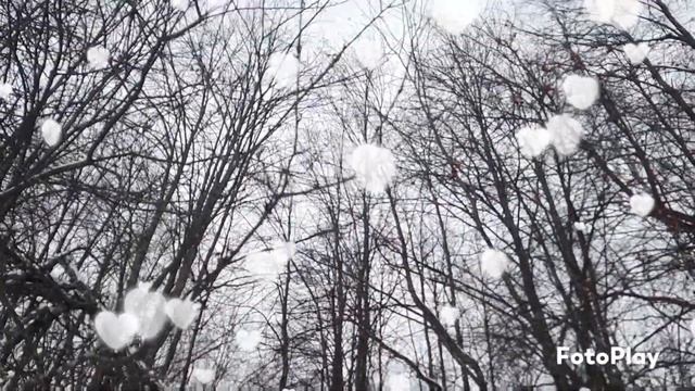 Зимний лес. 🌲 Музыка: Б. Данилов "В Змимнем лесу" смотреть онлайн